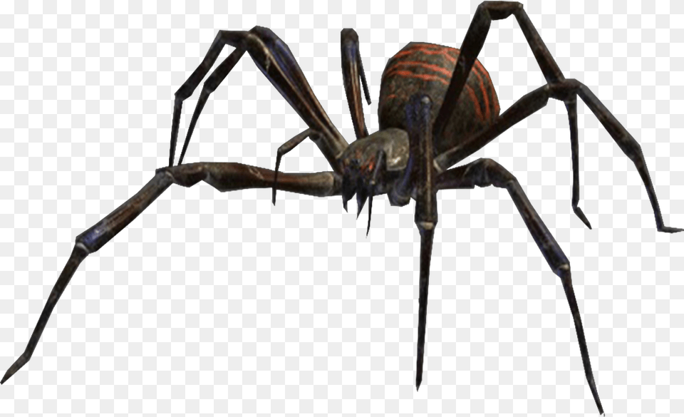 Villains Wiki Spiders Eight Legged Freaks, Animal, Invertebrate, Spider Free Png Download