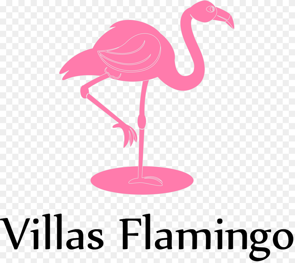 Villas Flamingo Akumal, Animal, Bird Png