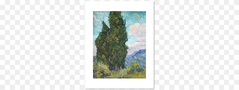 Vincent Van Gogh Cypresses 1889 Fine Art Prints Great Big Canvas 39cypresses39 By Vincent Van Gogh Painting, Plant, Tree, Conifer, Blackboard Png Image