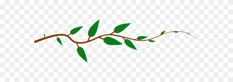 Vine Leaf, Plant, Bow, Weapon Png