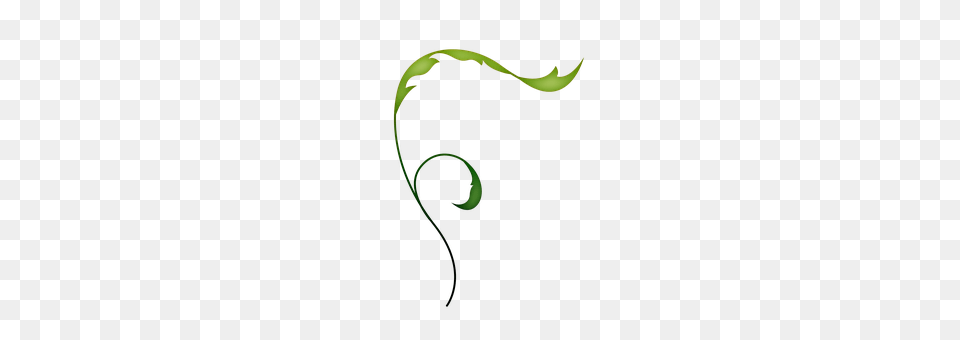 Vine Art, Graphics, Spiral Png