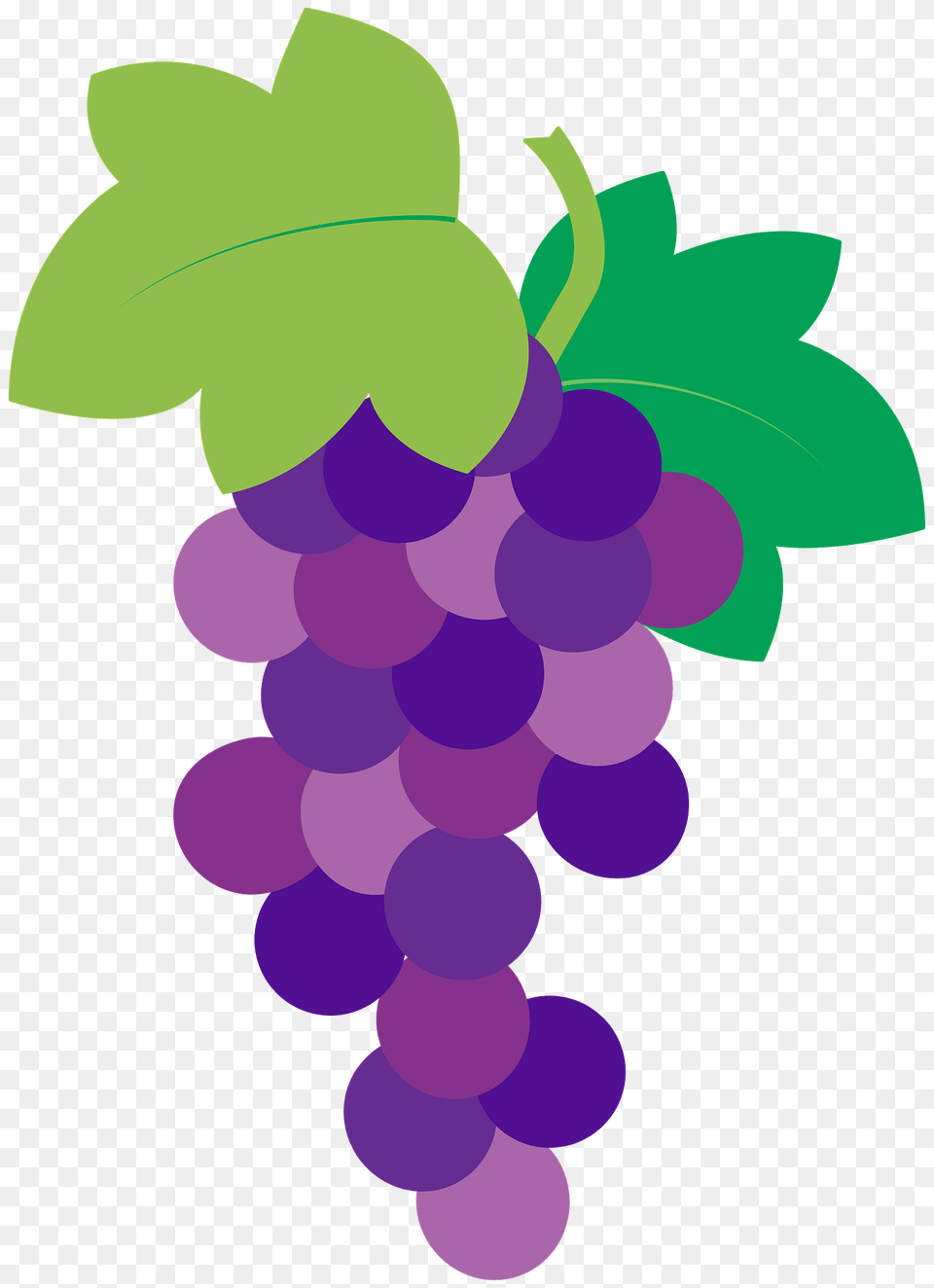 Vine Clipart, Food, Fruit, Grapes, Plant Free Png Download