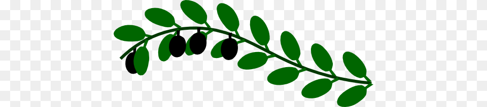 Vine Clipart Olive, Herbal, Herbs, Leaf, Plant Png Image