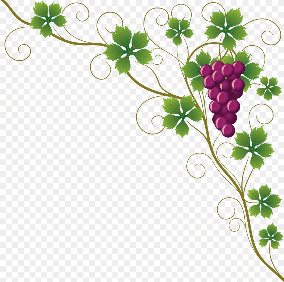 Vine Clipart Raisin Uvas De Primera Comunion, Art, Floral Design, Graphics, Pattern Free Png