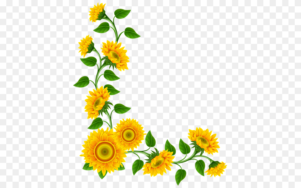 Vine Clipart Sunflower, Flower, Plant Free Transparent Png