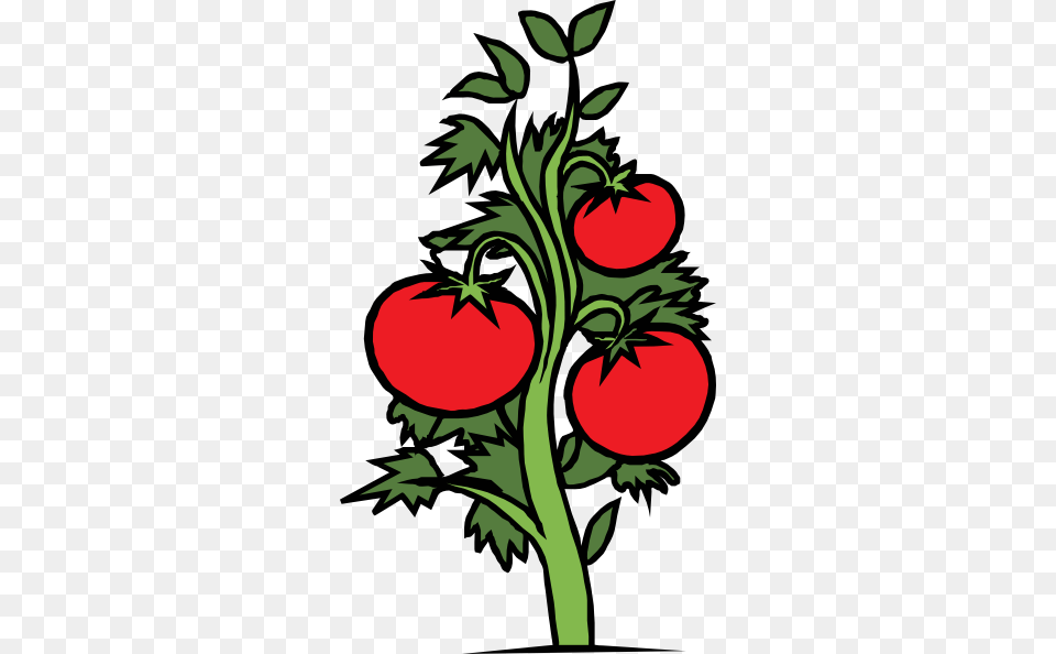 Vine Clipart Tomato Vine, Food, Plant, Produce, Vegetable Free Png Download