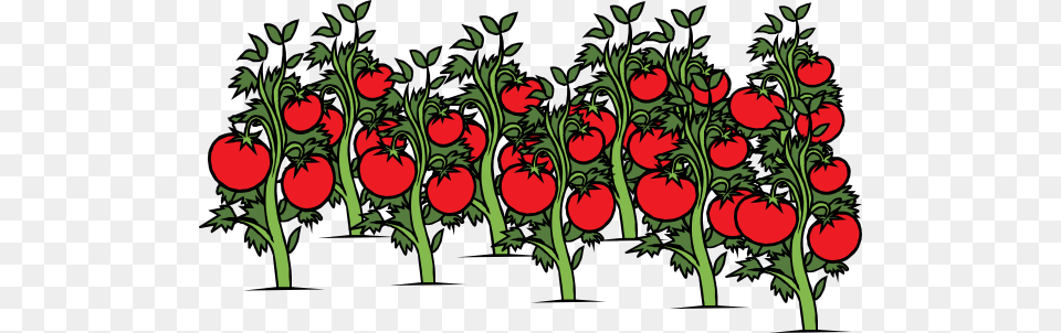Vine Clipart Tomatoe, Food, Produce, Fruit, Plant Free Transparent Png