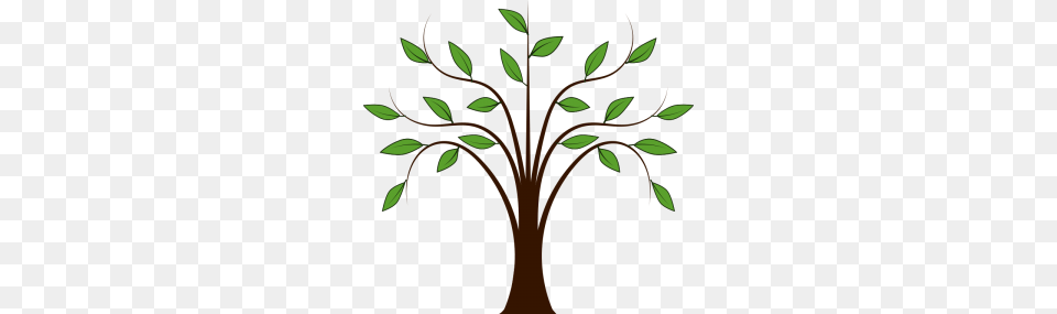 Vine Clipart Tree Vine, Art, Floral Design, Graphics, Herbal Free Png Download