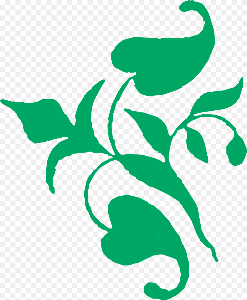 Vine Decoration Green Plant Pumpkin Vines Clip Art, Floral Design, Graphics, Pattern, Baby Free Png Download