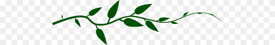 Vine Green Single Clip Art, Herbal, Herbs, Leaf, Plant Png Image