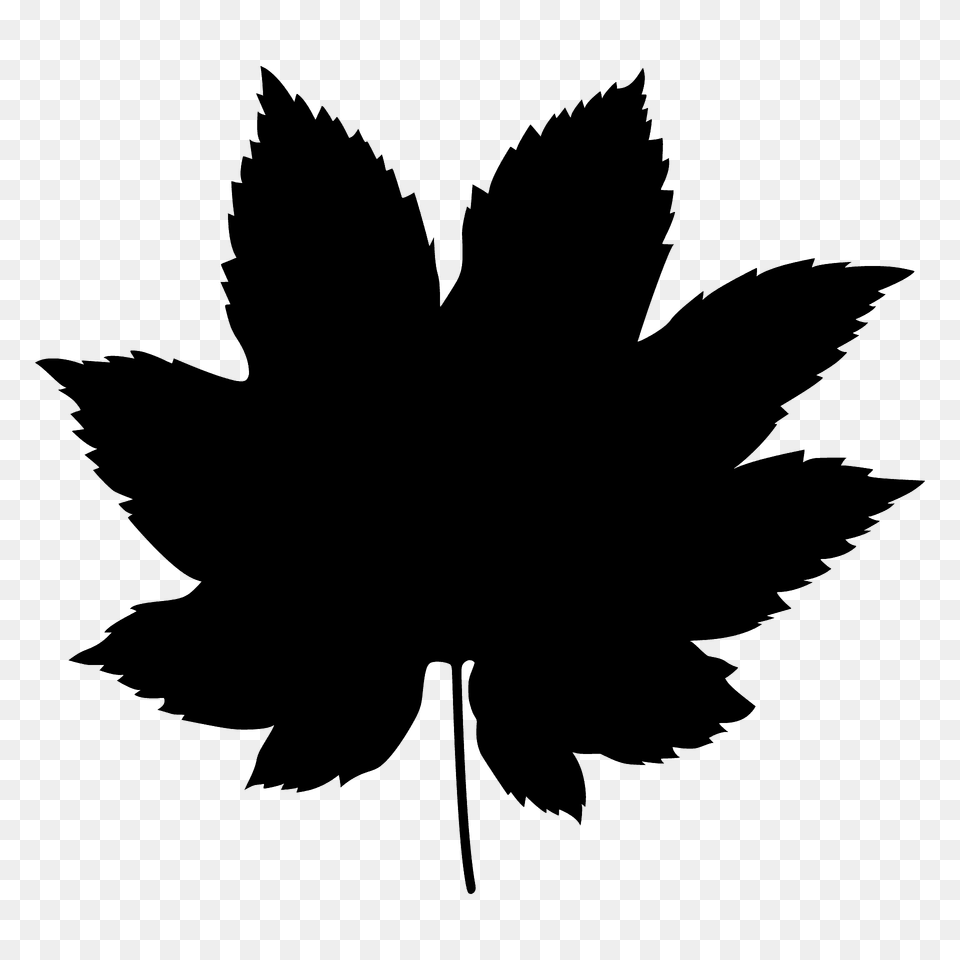 Vine Maple Leaf Silhouette, Plant, Maple Leaf, Animal, Bird Free Png