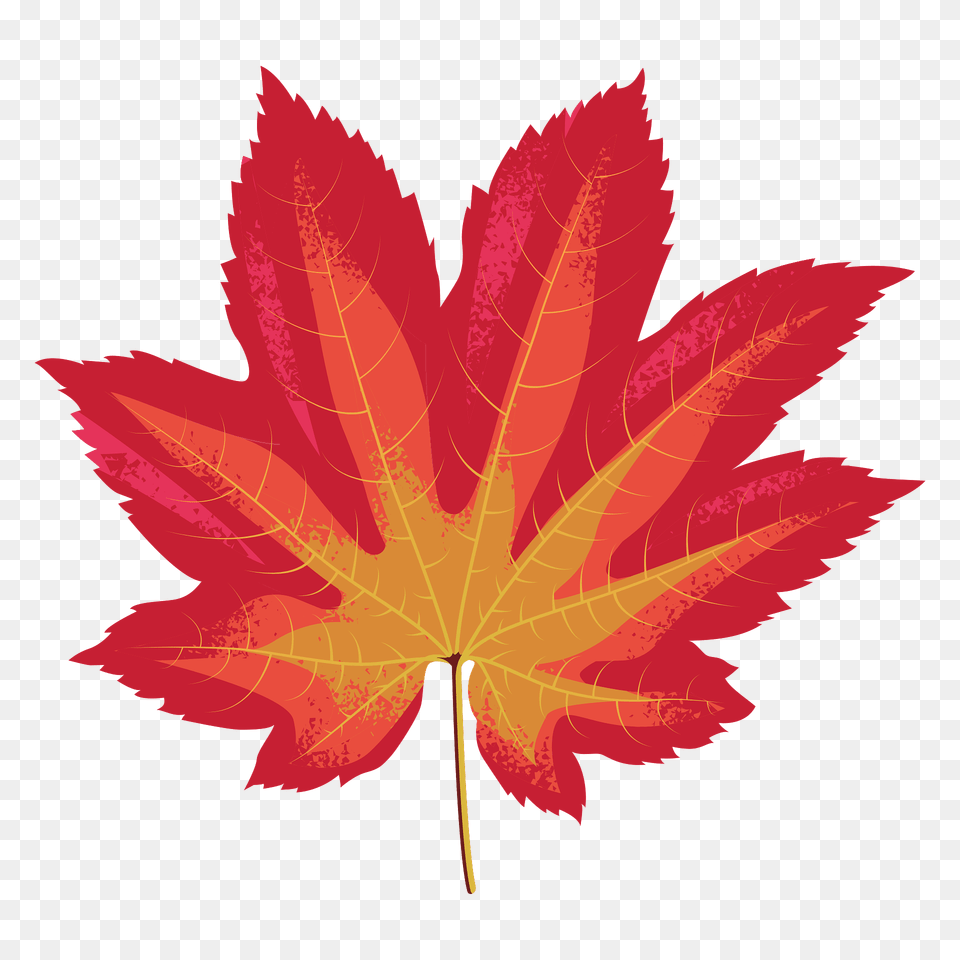 Vine Maple Red Leaf Clipart, Plant, Tree, Maple Leaf Free Png