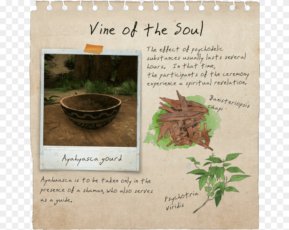 Vine Of Soul Notebook, Wood, Herbal, Herbs, Plant Free Png Download