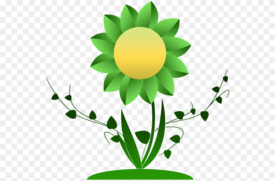 Vine Plant Vine Clipart Sunflower Donazione Sangue Earth As A Flower, Green, Daisy, Graphics, Herbal Png Image