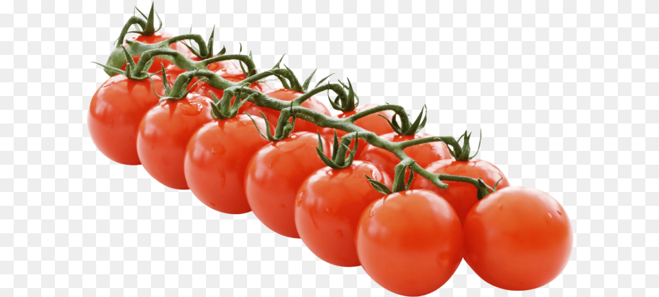 Vine Tomatoes, Food, Plant, Produce, Tomato Png Image