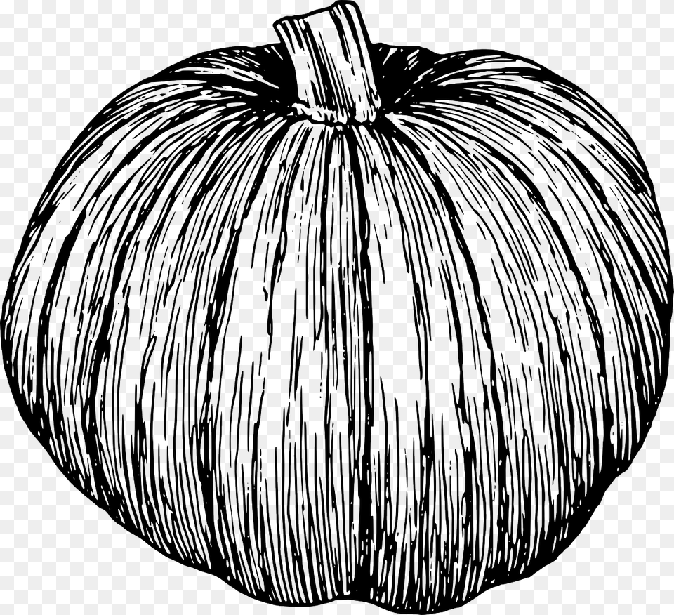 Vine Vector Clipart Of Pumpkins Black And White, Food, Plant, Produce, Pumpkin Free Png Download