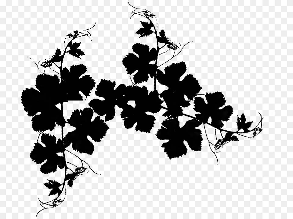 Vine Vector Grapes Vectors Vine, Green, Herbs, Plant, Leaf Free Png