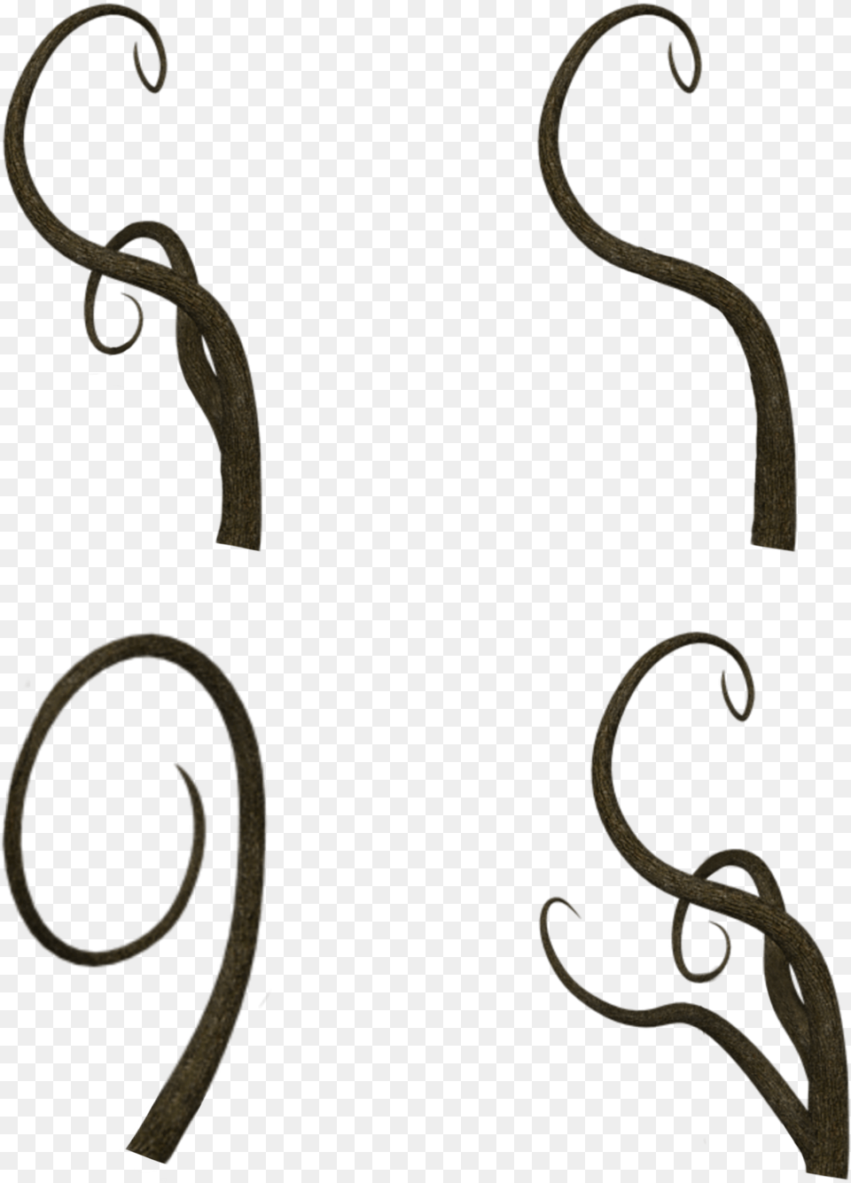 Vine Vines Stems Trees Stalk Stalks Terrieasterly, Accessories, Earring, Jewelry Free Png