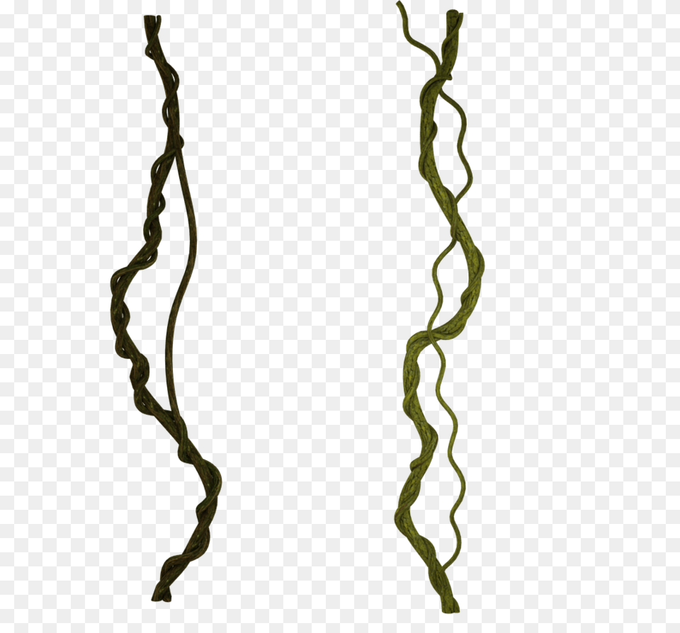 Vines, Accessories, Earring, Jewelry, Nature Free Transparent Png