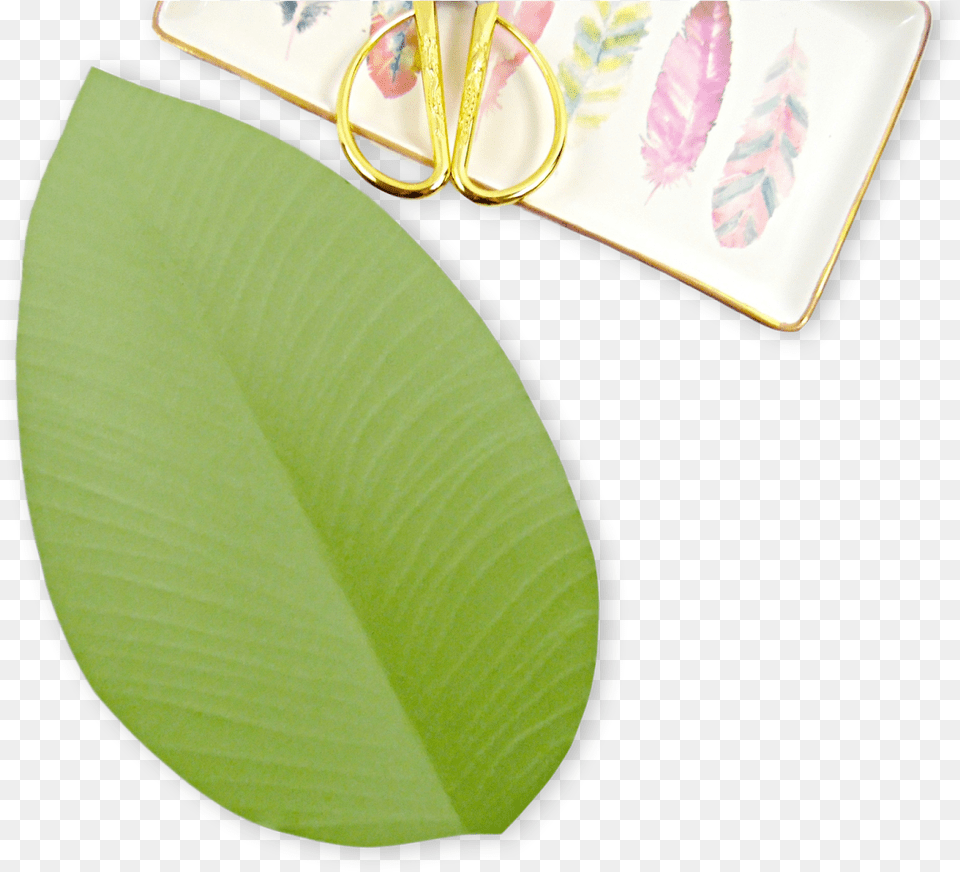 Vines And Leaves Can Really Just Make Your Paper Flowers, Leaf, Plant, Flower, Plate Free Transparent Png