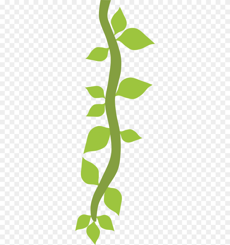 Vines Cartoon, Green, Leaf, Plant, Vine Free Transparent Png