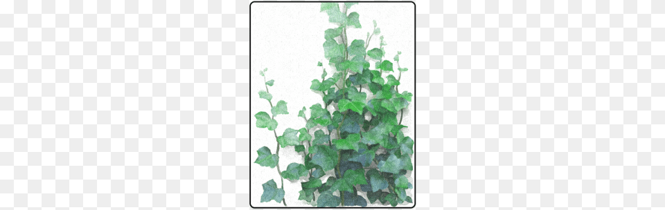 Vines Climbing Plant Blanket Canvas, Ivy, Vine, Leaf Free Png Download