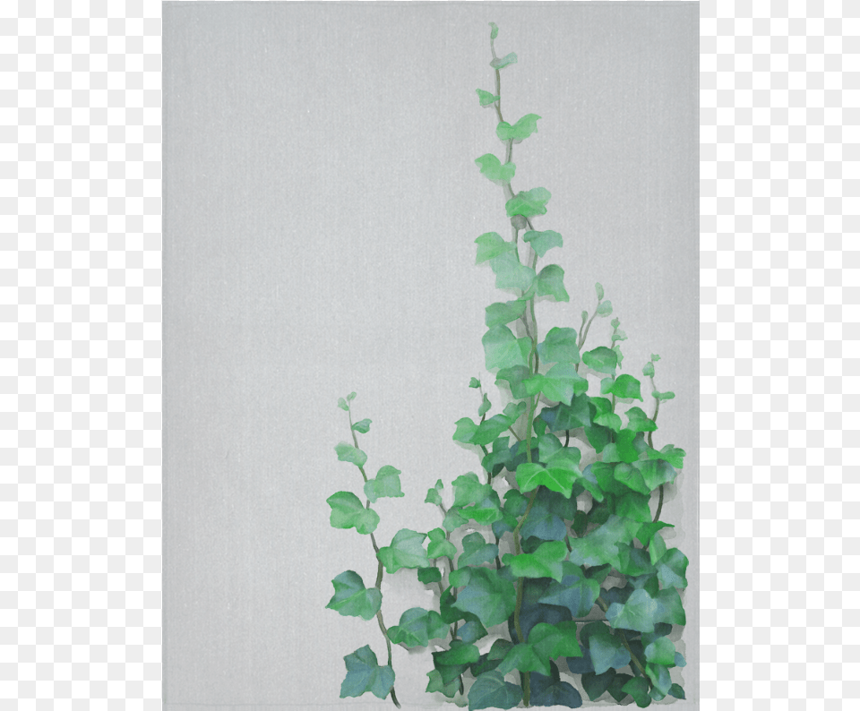 Vines Climbing Plant Cotton Linen Wall Tapestry 60 Watercolor Vines, Vine, Ivy, Leaf Png