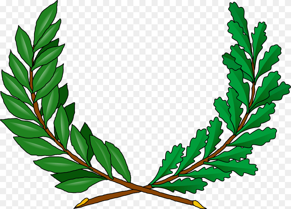 Vines Clipart, Green, Leaf, Plant, Vegetation Png Image