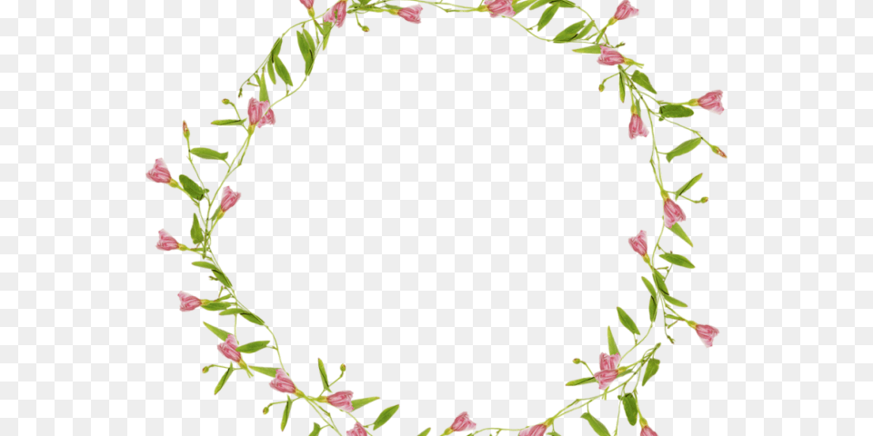 Vines Clipart Raspberry Flower Circle Border, Plant, Pattern, Oval, Flower Arrangement Png Image