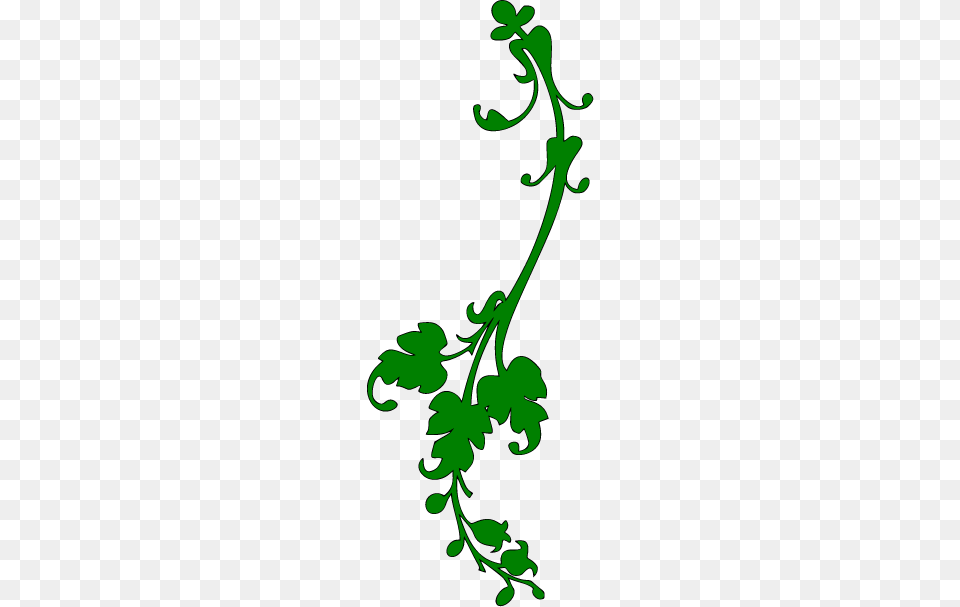 Vines Images, Herbs, Parsley, Plant, Smoke Pipe Free Transparent Png