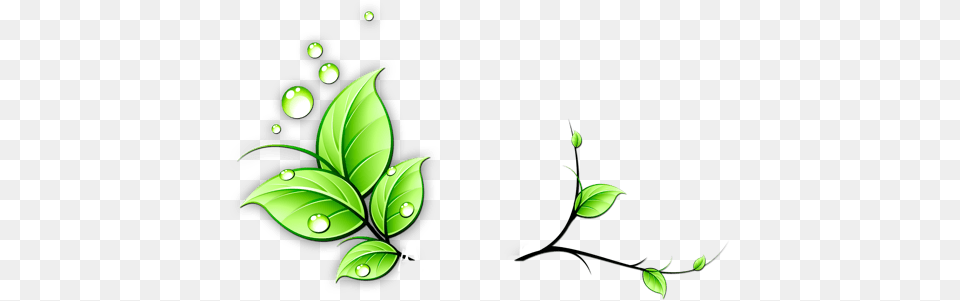 Vines Pictures Icons And Green Vine, Art, Plant, Floral Design, Graphics Free Transparent Png