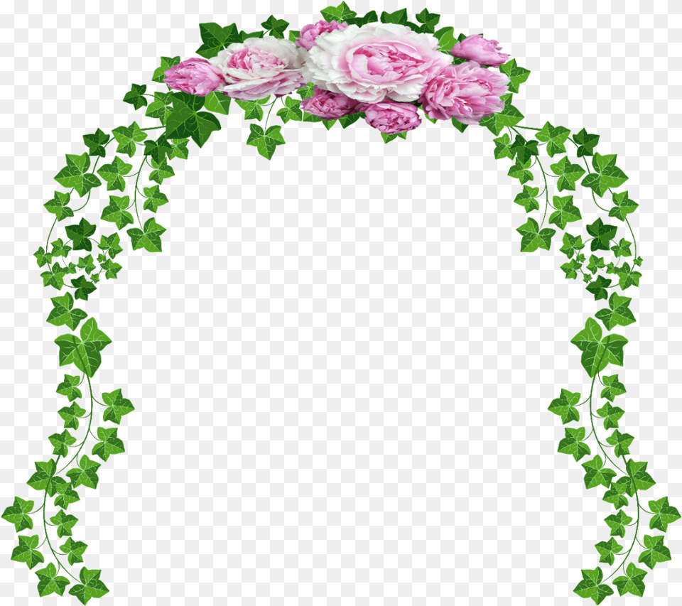 Vines With Transparent Background, Arch, Architecture, Flower, Flower Arrangement Free Png