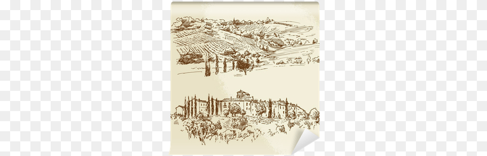 Vineyard Drawing Landscape Toskania Dla Pocztkujcych Book, Art Png Image