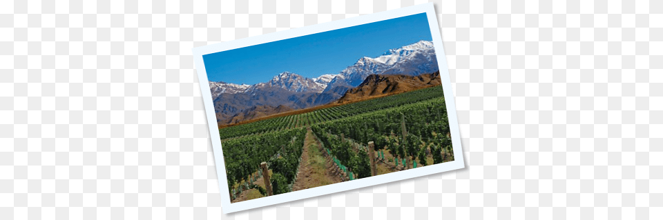 Vineyards And Waterfalls Mendoza, Nature, Countryside, Outdoors, Farm Free Png Download