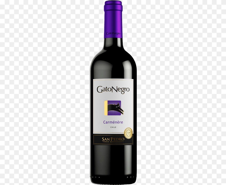 Vinho Gato Negro Merlot, Bottle, Alcohol, Wine, Liquor Free Transparent Png