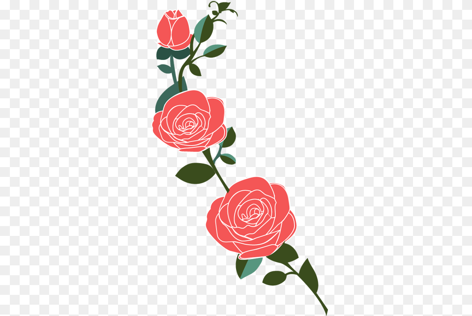 Vinilo Decorativo Rosas, Flower, Plant, Rose Png Image