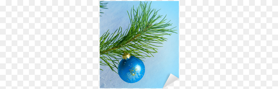 Vinilo Pixerstick Bola De Cristal Azul En El Rbol Christmas Tree, Conifer, Fir, Pine, Plant Png