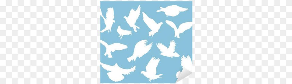 Vinilo Pixerstick Conjunto De Palomas Blancas En Azul Illustration, Animal, Bird, Adult, Bride Free Png Download