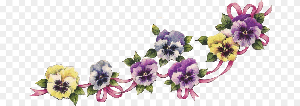 Vintag Flower Border Clipartioncom Pansies Clipart, Plant Png Image