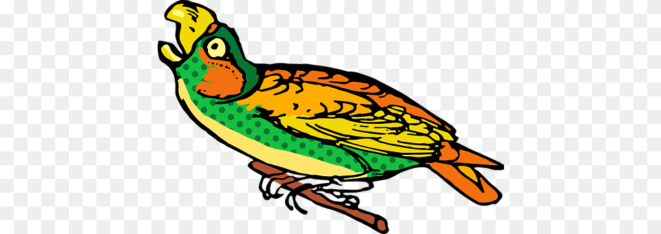 Vintage Animal, Beak, Bird, Fish Png Image