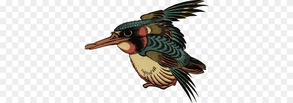 Vintage Animal, Beak, Bird, Teal Png Image
