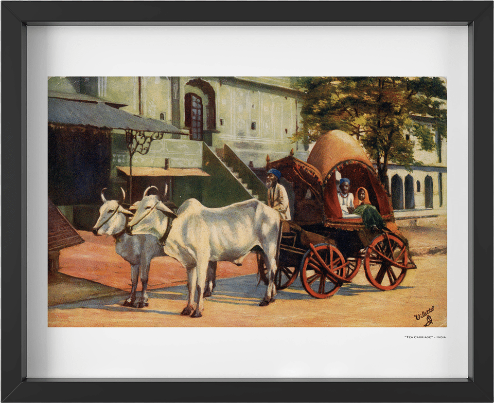 Vintage Ox Drawn Tea Carriage India Art Print Alte Postkarte Jeypore Indien, Animal, Bull, Cattle, Livestock Free Transparent Png