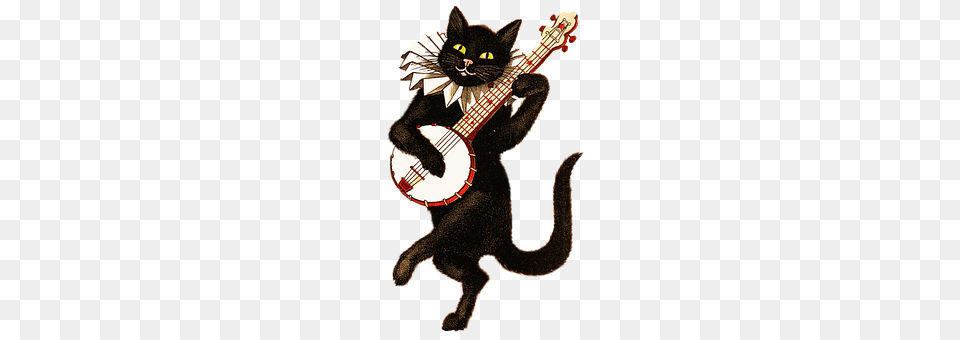 Vintage Musical Instrument, Animal, Baby, Cat Free Png