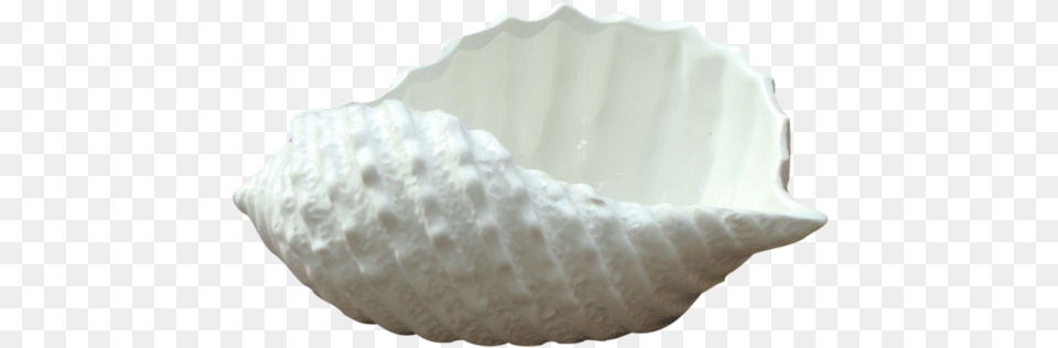 Vintage Antique Stafford White Italian Porcelain Seashell Shell, Animal, Clam, Food, Invertebrate Png Image