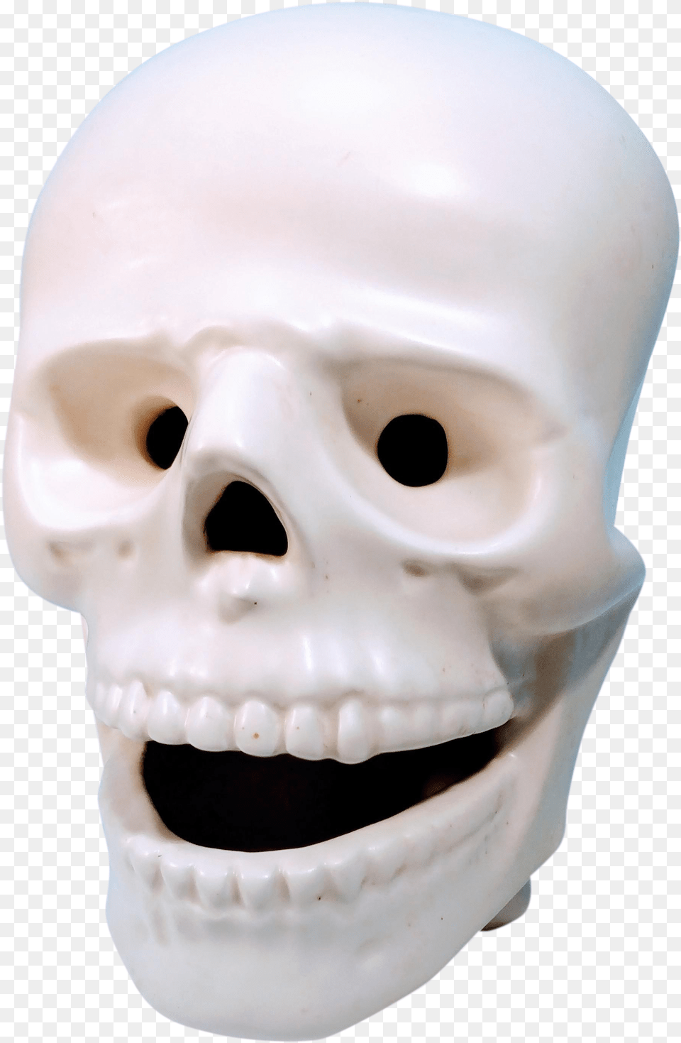 Vintage Atlantic Mold Company Atribued Bone Head Face Facial Skull Skeleton Skull, Baby, Person, Mask Free Png Download