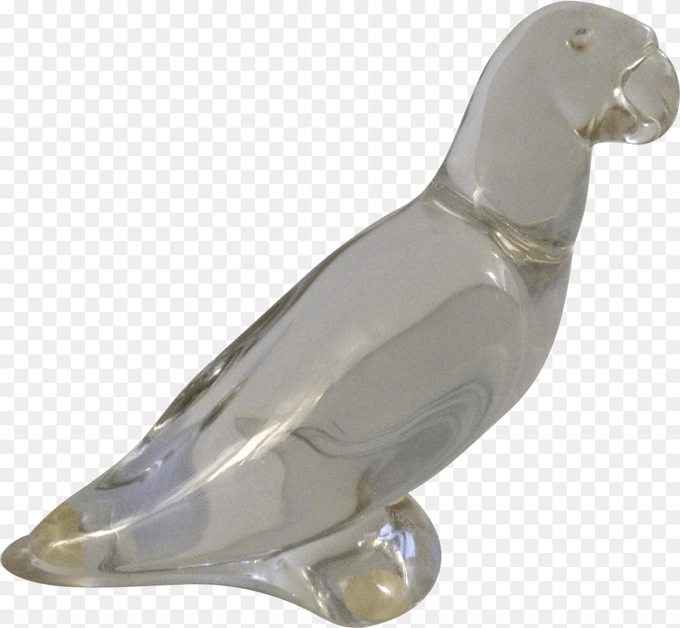 Vintage Baccarat Crystal Clear Glass Parrot Bird Figurine African Grey Png