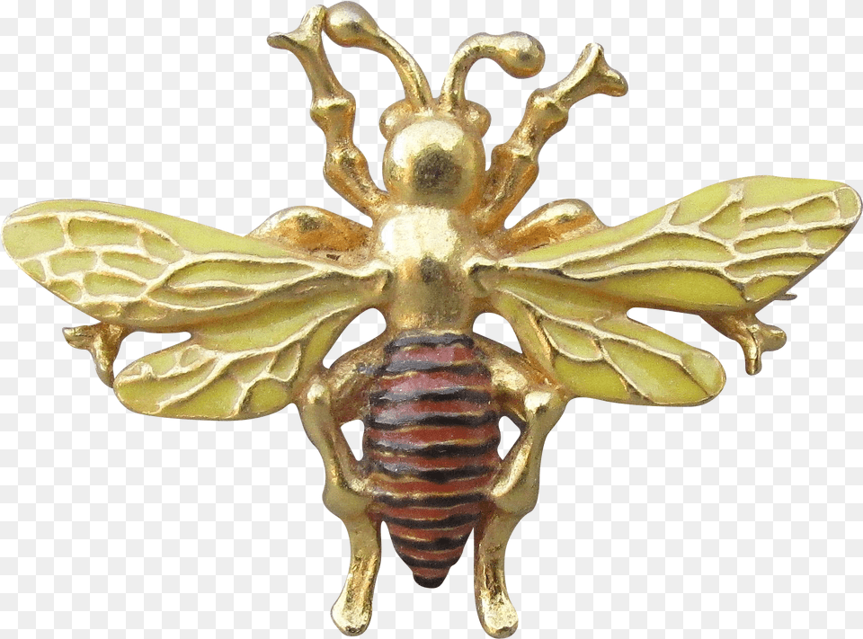 Vintage Bee Honeybee, Wasp, Invertebrate, Insect, Animal Png Image