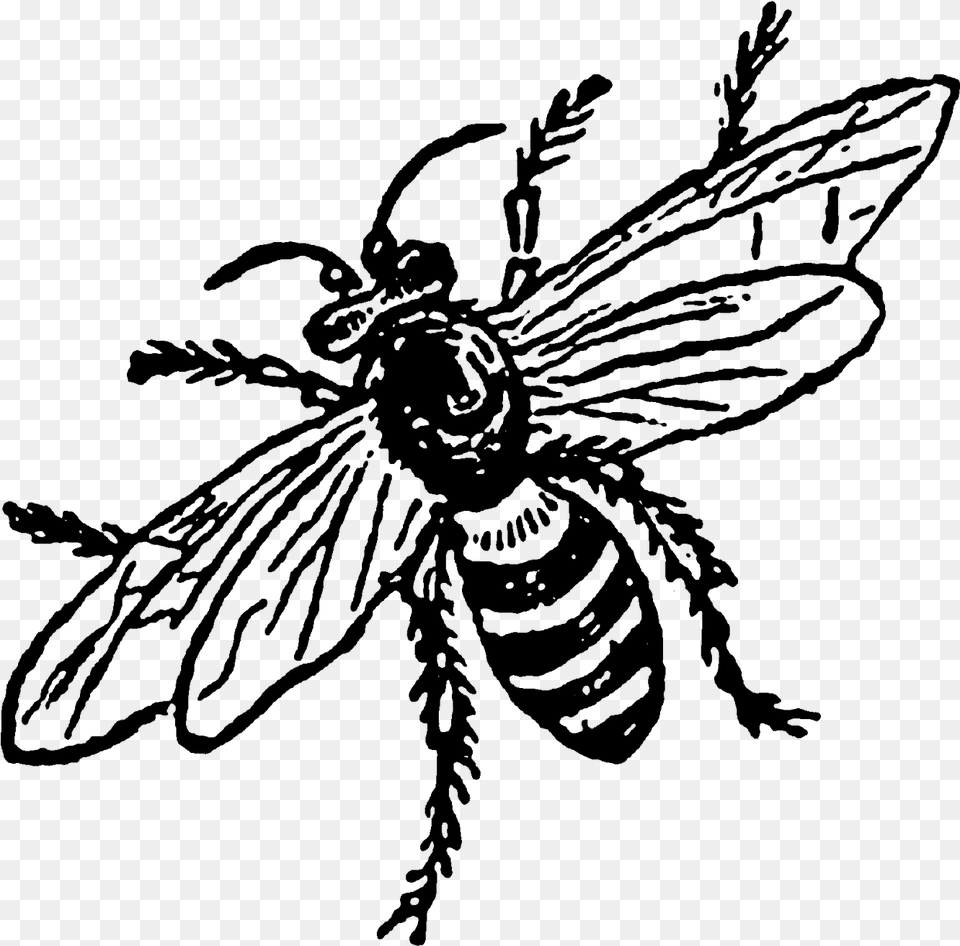 Vintage Bee Visual Arts, Nature, Outdoors, Snow Png Image