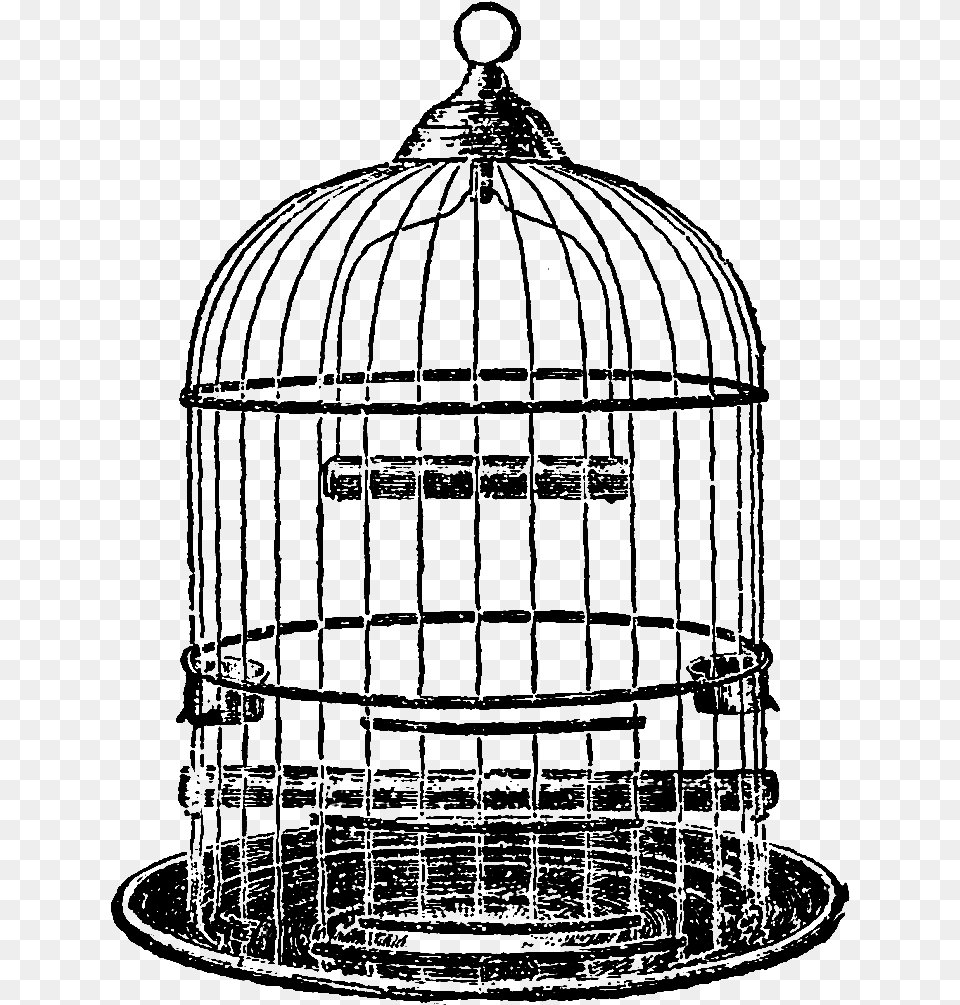 Vintage Bird Cage Illustration, Outdoors, Person Free Transparent Png
