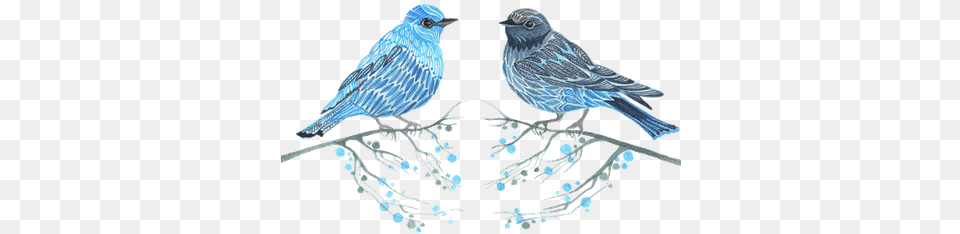 Vintage Bird Sketch Transparent Blue, Animal, Finch, Anthus, Sparrow Free Png